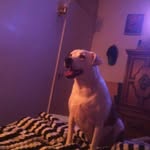 Jacob Krupp - @krupp.jacob - Instagram