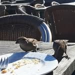 Jacob Kuipers - @kuipers.jacob - Instagram
