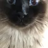 jacob.lanier83 - @jacoblanier83 - TikTok