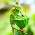Jacob Latham - @jake_in_the_box11 - Instagram