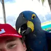 jacoblauer86 - @jacob.lauer08 - TikTok