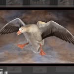 Jacob Leech - @topgunleech1471 - Instagram