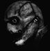 Jacob Leffler - Facebook