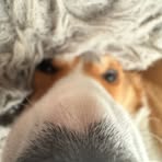 Jacob Legg - Facebook