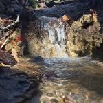 Jacob Legg - @ridge_top_adventures - Instagram
