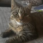 Jacob Lenard - @jacoblenard4 - Instagram