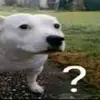 Jacob Lerma - @jacob.lerma - TikTok