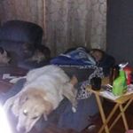 Jacob Lindquist - @lindquist.joseph - Instagram