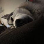 Jacob Lindquist - @j_lind8 - Instagram