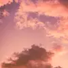 Jacob loo - @i.love..my.horse.woody - TikTok