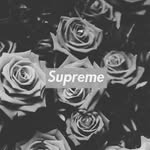 yoface - @jacobloving8 - Instagram