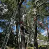 Jacob_Lyle20 - @jacob_lyle20 - TikTok