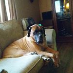 jacob lyle - @jacoblyle2020 - Instagram