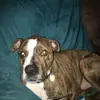 Jacob Lyle - @jacob.lyle1 - TikTok