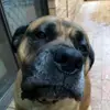 Jacob - @..jacobmackay - TikTok