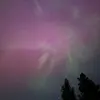 Jakob Madrid - @stoned_panda13 - TikTok