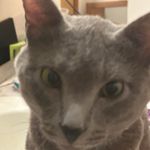 Jacob Maness - @pistolwhip44 - Instagram