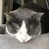 Jacob Marler - @jacob.marler - TikTok