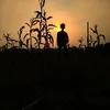 Jacob Mars - @jacobmars143 - TikTok