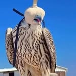 Jacob Marvin - @marvin66110582 - Instagram