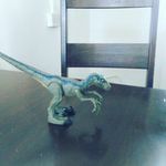 Jacob masterson - @amymasterson123 - Instagram