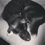Jacob mathieson - @jacobmathieson - Instagram