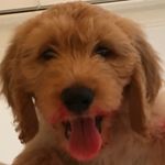 Jacob Mathis - @jacobmathis65 - Instagram