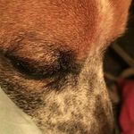 Jacob Mathis - @jojikats - Instagram