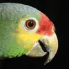 jacobmathison720 - @jacobmathison720 - TikTok