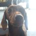 Jacob Mattew S. Pestaño - Facebook