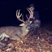 Jacob Mattingly - Facebook