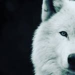 Jacob Mattingly - @jacob.mattingly02 - Instagram