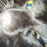 Jacob Mattison - @jm35746 - Instagram