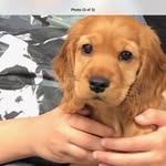 Jacob Maughan - @jacob.maughan - Instagram