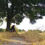 Jacob Maximo Burdiles Burdiles - @jacobmaximo - Instagram