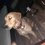 Jacob Maywald - @jacob_m_2021 - Instagram