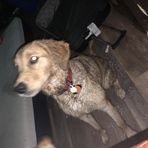 Jacob Maywald - Facebook