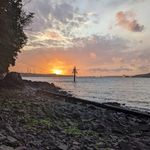 jacob rees mccaffrey - @mccaffreyjacob82019 - Instagram
