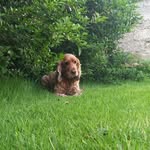 Jacob mccormack - @j.mccormack8202 - Instagram