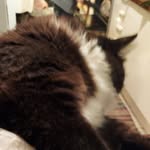 Jacob McCormack - @pigeoncrack11 - Instagram