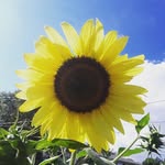 Jacob McCourt - @photato_graph - Instagram