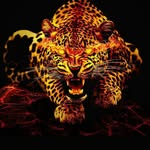 jacob mcfarlane - @mcfarlane374 - Instagram