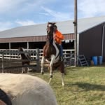 Jacob McGowan - @jacob6786 - Instagram