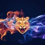 Jacob McGowan - @xb641057 - Instagram