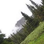 Jacob McKim - @mckimjacob - Instagram