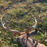 Jacob Meier - @jacobmeier64 - Instagram