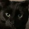 Jacob Menard - @betashadow13 - TikTok