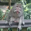 Jakob Mentzer - @jakob.mentzer - TikTok