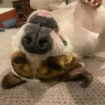 Jacob Mertz - @jacobmertz78 - Instagram