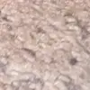 Jacob Mertz - @jacob.mertz - TikTok